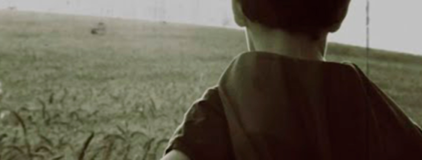 jeep pandemia cortada